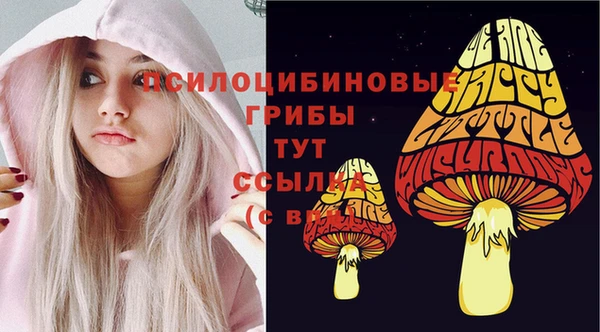 гидра Медвежьегорск